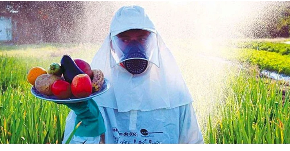 Agrotóxico sendo aplicado na lavoura